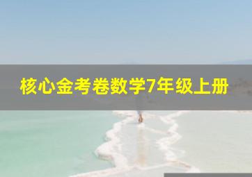 核心金考卷数学7年级上册