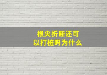 根尖折断还可以打桩吗为什么