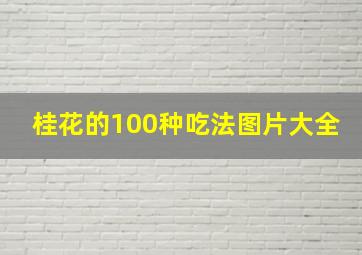 桂花的100种吃法图片大全