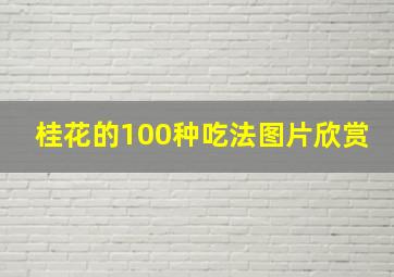 桂花的100种吃法图片欣赏