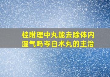 桂附理中丸能去除体内湿气吗岑白术丸的主治