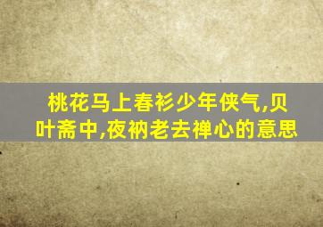 桃花马上春衫少年侠气,贝叶斋中,夜衲老去禅心的意思