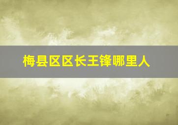 梅县区区长王锋哪里人