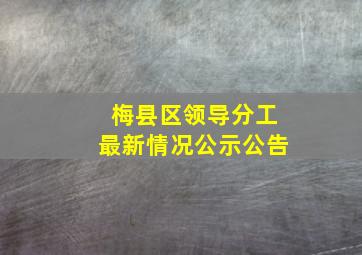 梅县区领导分工最新情况公示公告