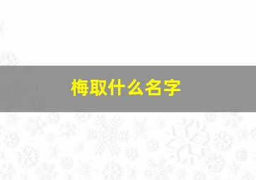 梅取什么名字