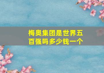 梅奥集团是世界五百强吗多少钱一个