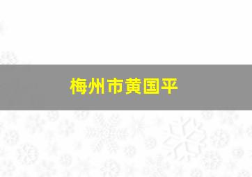 梅州市黄国平