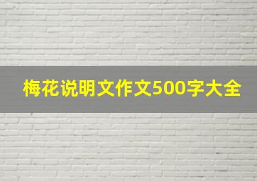 梅花说明文作文500字大全