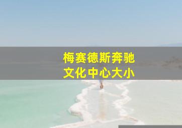 梅赛德斯奔驰文化中心大小