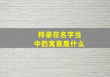 梓豪在名字当中的寓意是什么