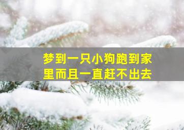 梦到一只小狗跑到家里而且一直赶不出去