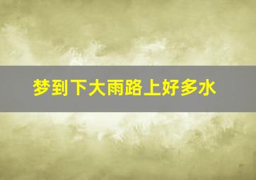 梦到下大雨路上好多水