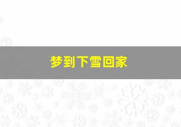 梦到下雪回家