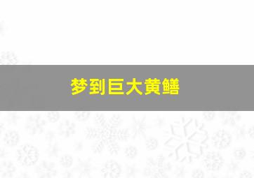 梦到巨大黄鳝