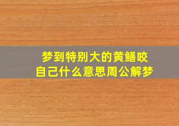 梦到特别大的黄鳝咬自己什么意思周公解梦