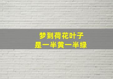 梦到荷花叶子是一半黄一半绿