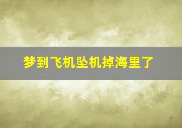 梦到飞机坠机掉海里了