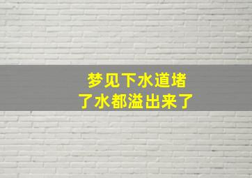 梦见下水道堵了水都溢出来了