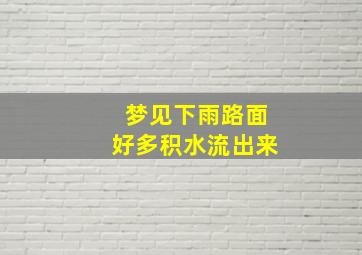 梦见下雨路面好多积水流出来