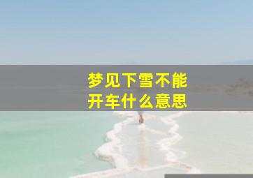 梦见下雪不能开车什么意思