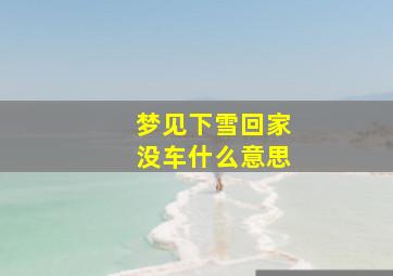 梦见下雪回家没车什么意思