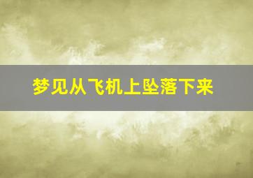 梦见从飞机上坠落下来