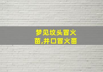 梦见坟头冒火苗,井口冒火苗