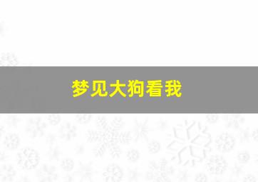 梦见大狗看我