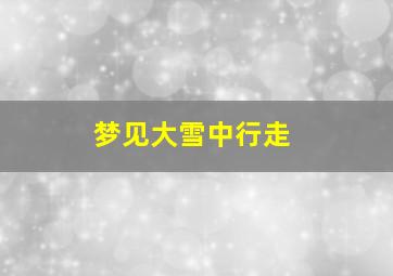 梦见大雪中行走