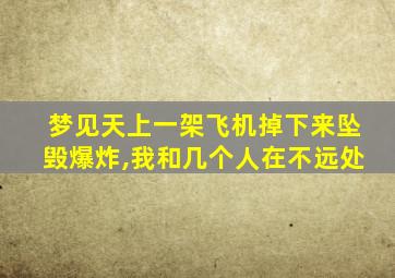 梦见天上一架飞机掉下来坠毁爆炸,我和几个人在不远处