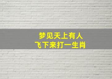 梦见天上有人飞下来打一生肖