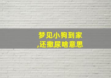 梦见小狗到家,还撒尿啥意思