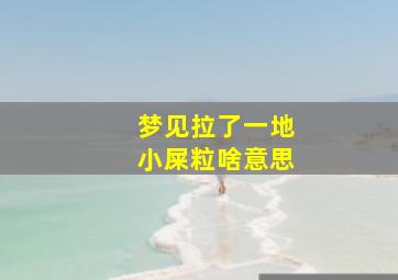 梦见拉了一地小屎粒啥意思