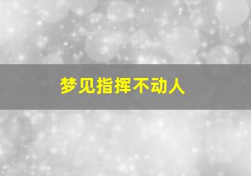 梦见指挥不动人