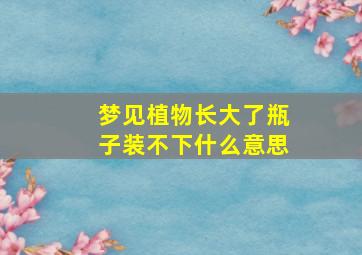 梦见植物长大了瓶子装不下什么意思