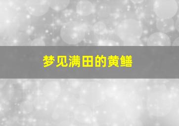 梦见满田的黄鳝