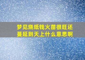 梦见烧纸钱火苗很旺还蔓延到天上什么意思啊