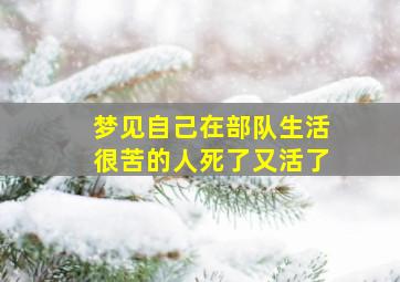 梦见自己在部队生活很苦的人死了又活了