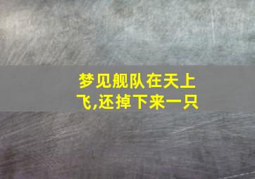 梦见舰队在天上飞,还掉下来一只