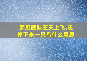 梦见舰队在天上飞,还掉下来一只鸟什么意思