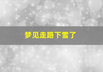 梦见走路下雪了