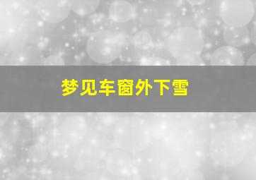 梦见车窗外下雪