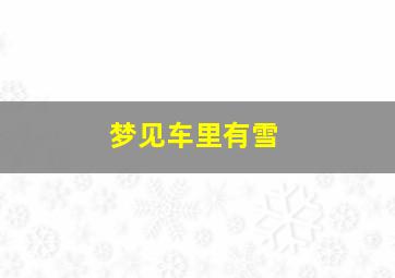 梦见车里有雪