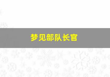 梦见部队长官