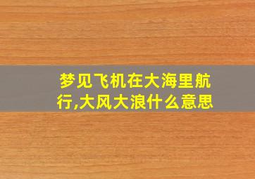 梦见飞机在大海里航行,大风大浪什么意思