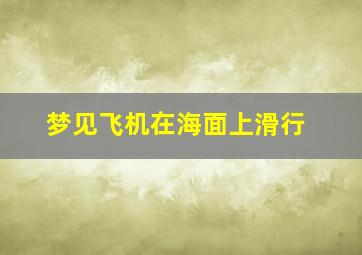 梦见飞机在海面上滑行