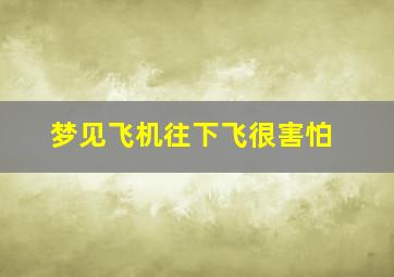 梦见飞机往下飞很害怕