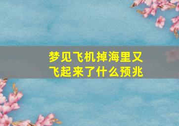 梦见飞机掉海里又飞起来了什么预兆