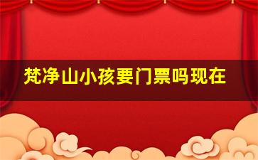 梵净山小孩要门票吗现在