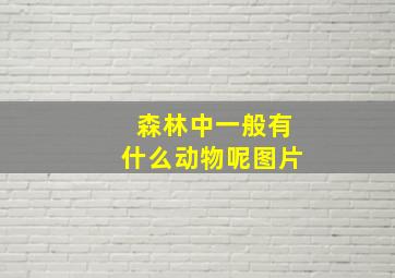 森林中一般有什么动物呢图片